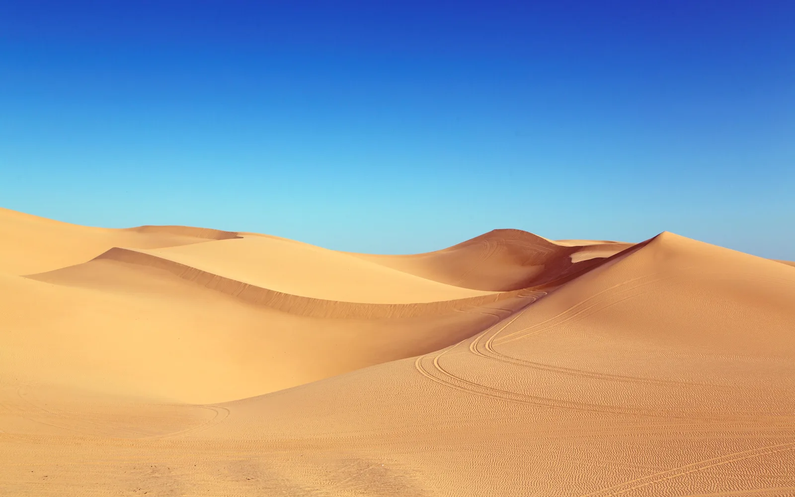 Desert landscape showing a vast, arid terrain with mountains in the distance